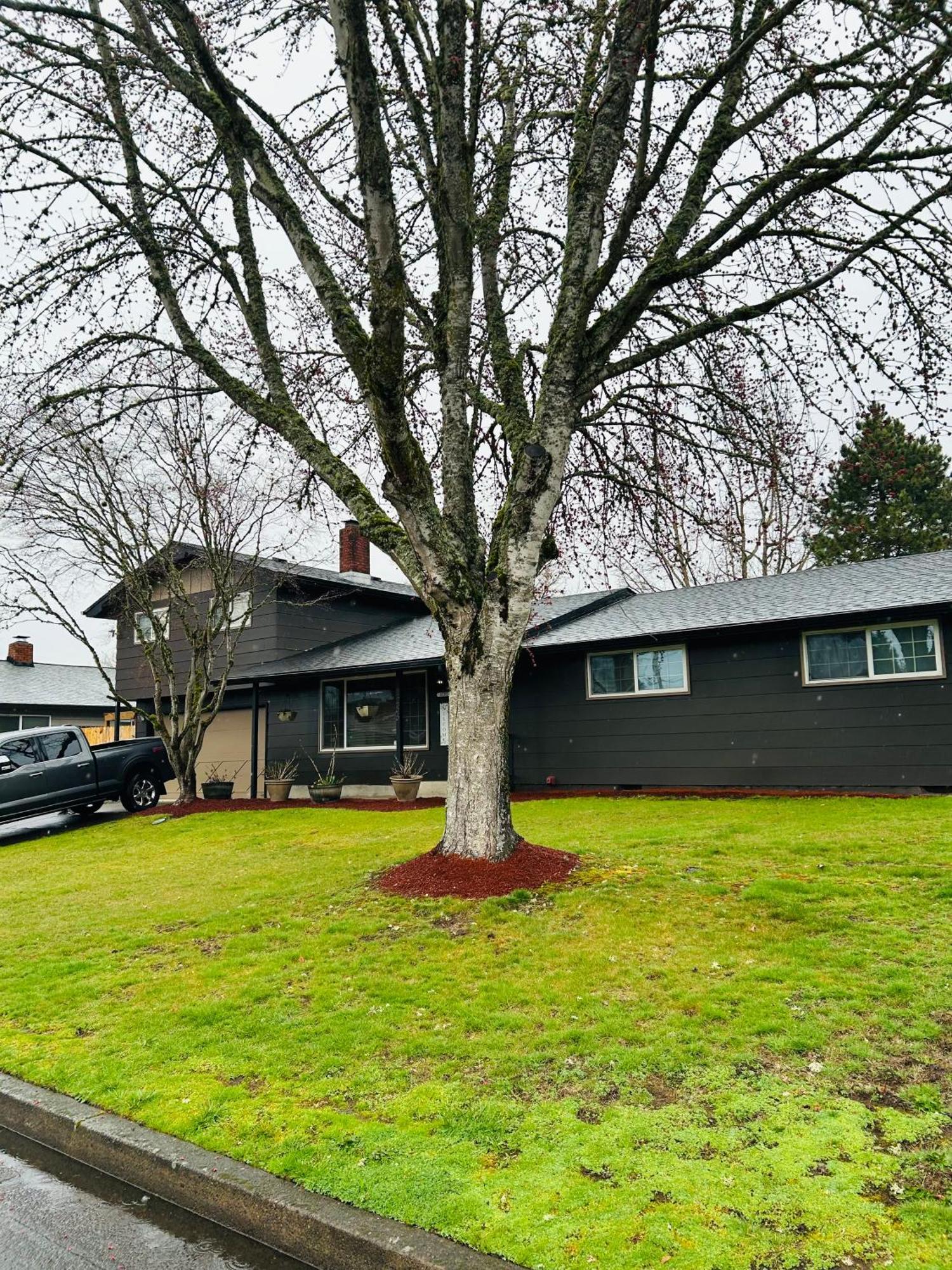 Emerald City 3 Bedroom 1 Bath Home Eugene Exterior photo